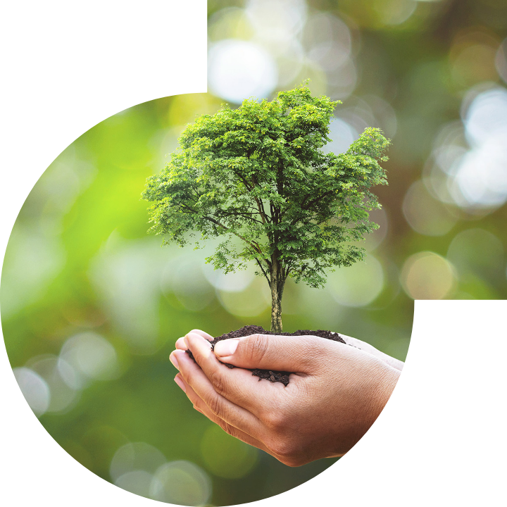 关怀人类、文化、环境与社会